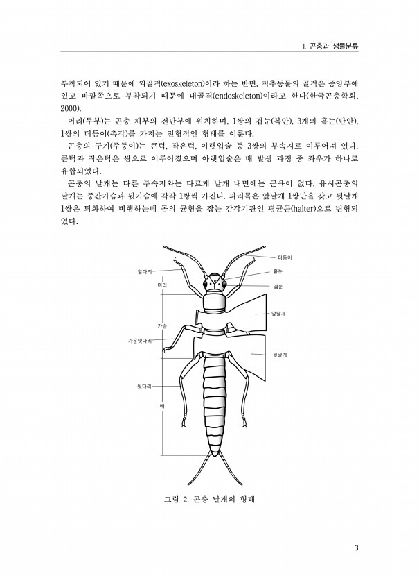 3페이지