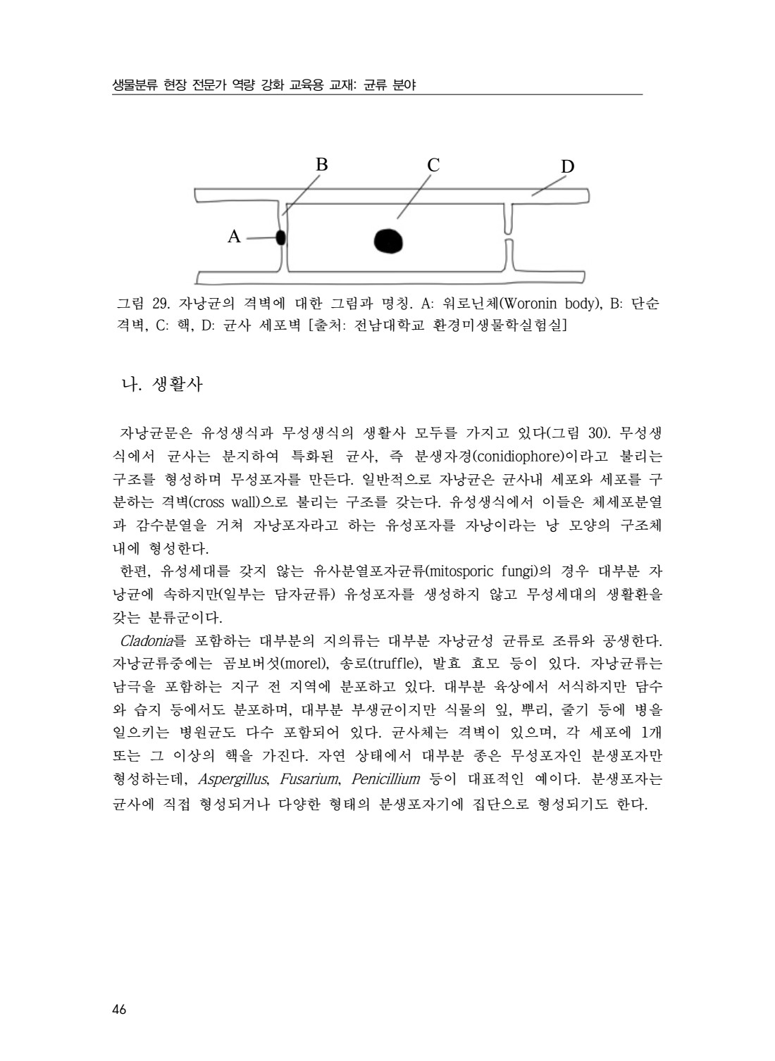 페이지