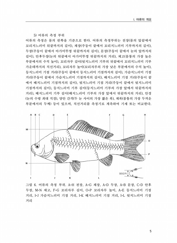 5페이지