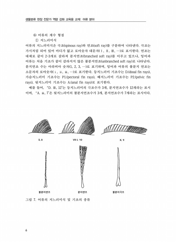 6페이지