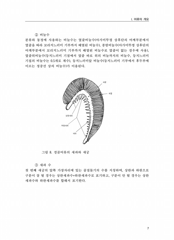 7페이지