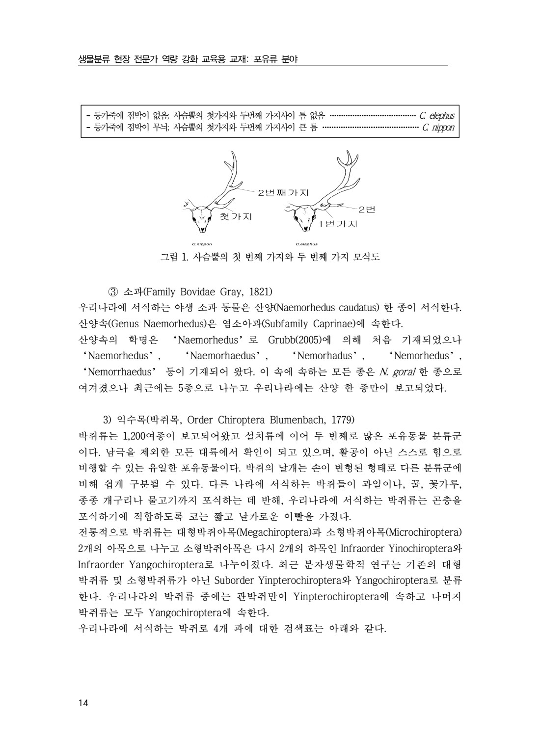 페이지