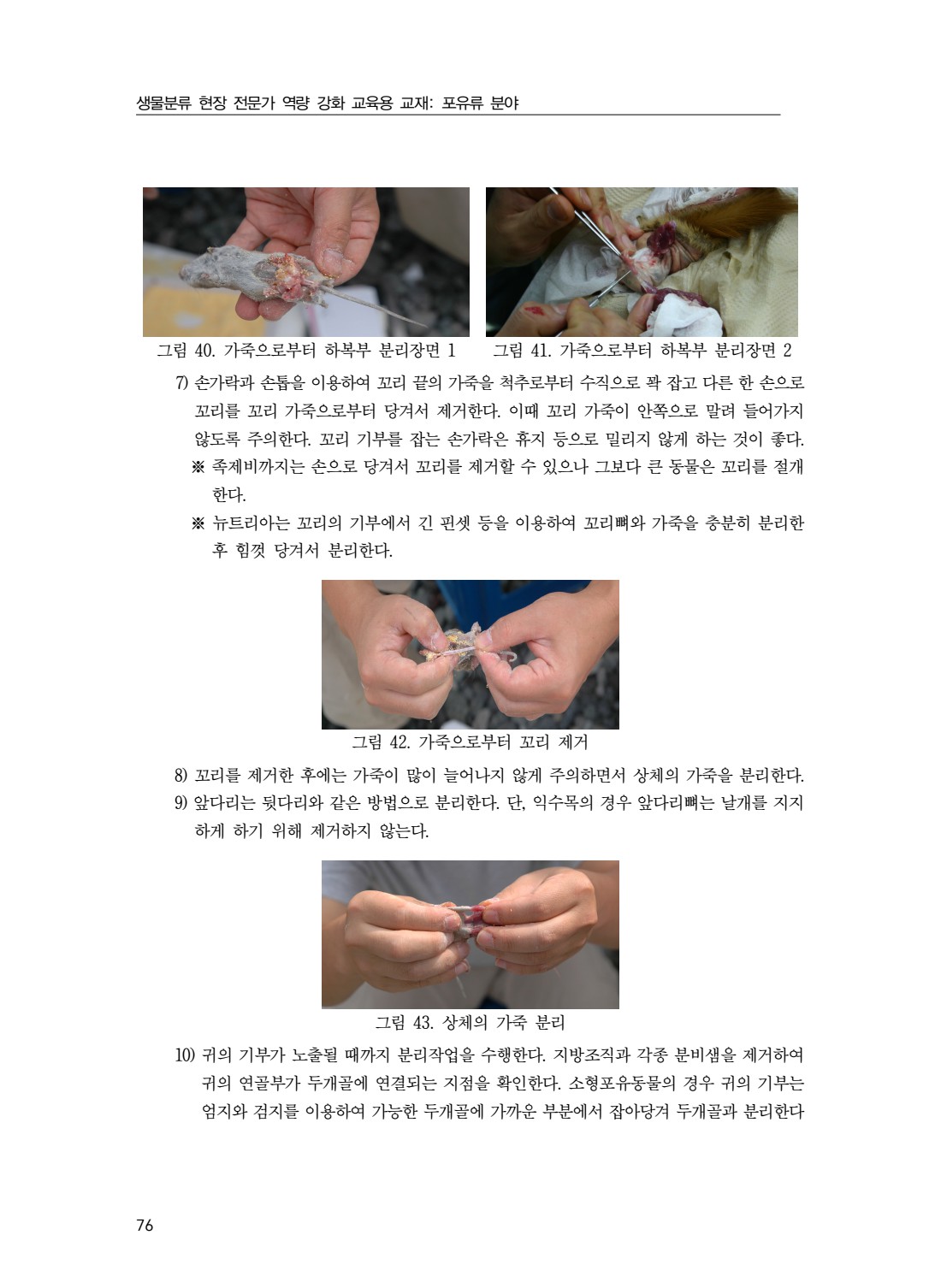 페이지