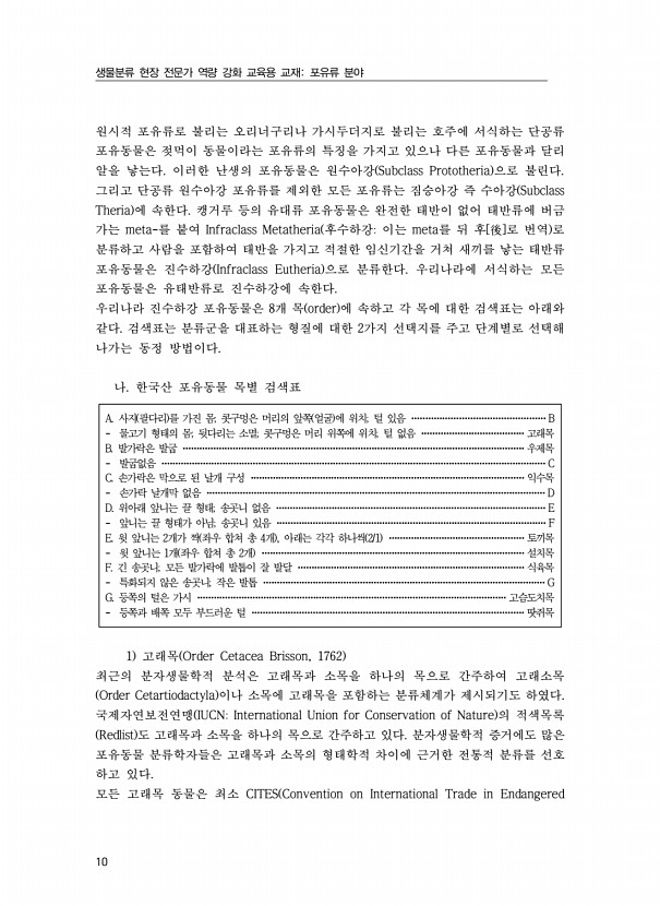 10페이지