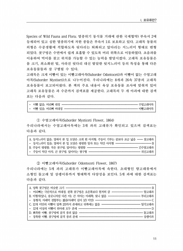 11페이지