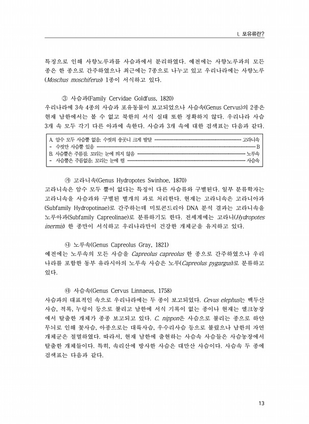 13페이지
