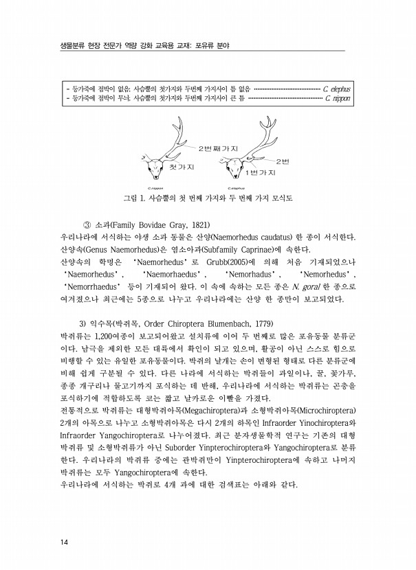 14페이지