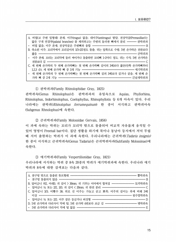 15페이지