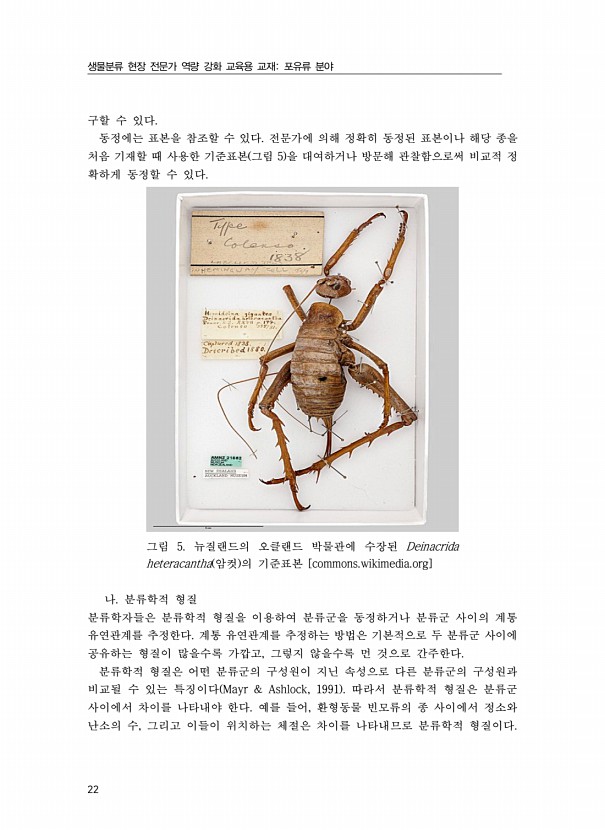 22페이지