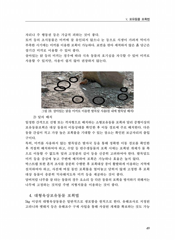49페이지