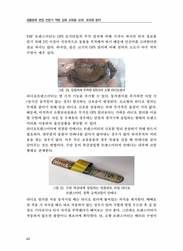 62페이지