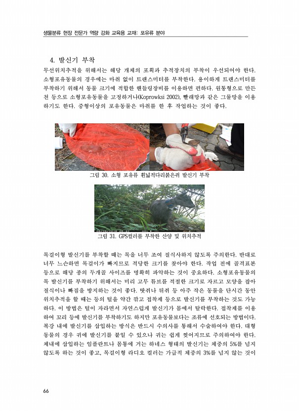 66페이지