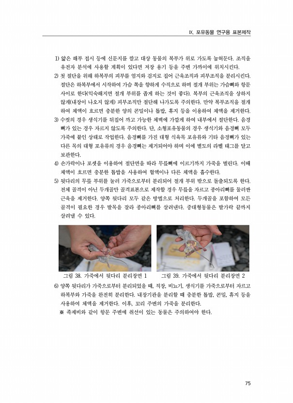 75페이지