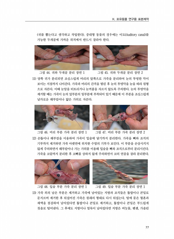 77페이지