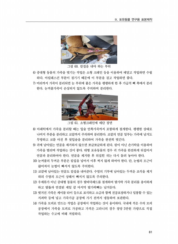 81페이지