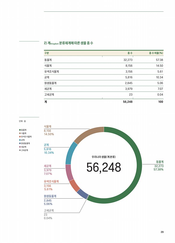 29페이지