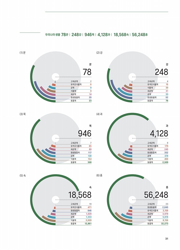 31페이지