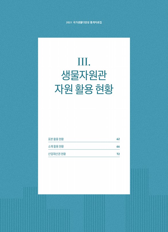 61페이지