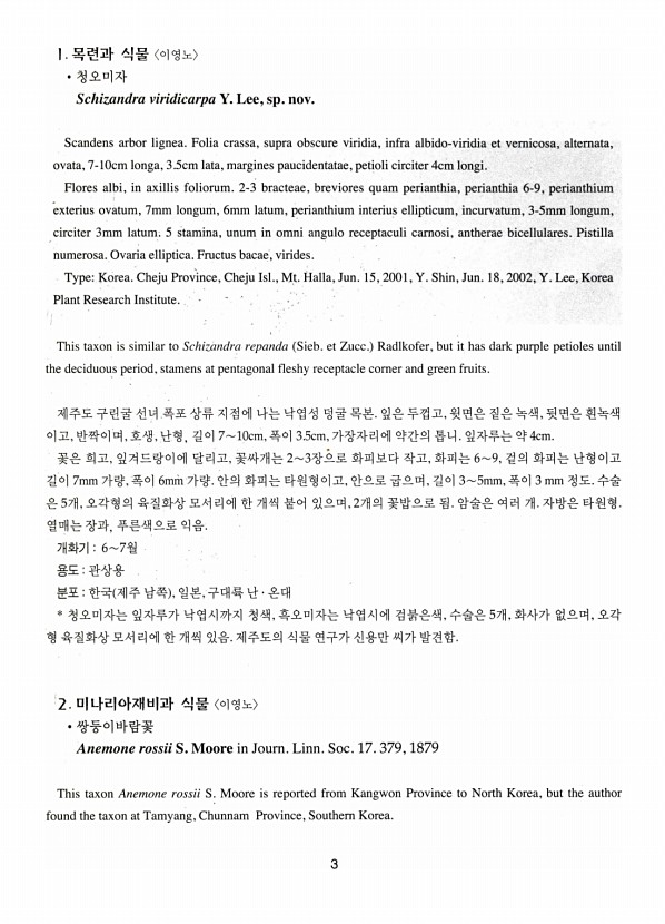3페이지