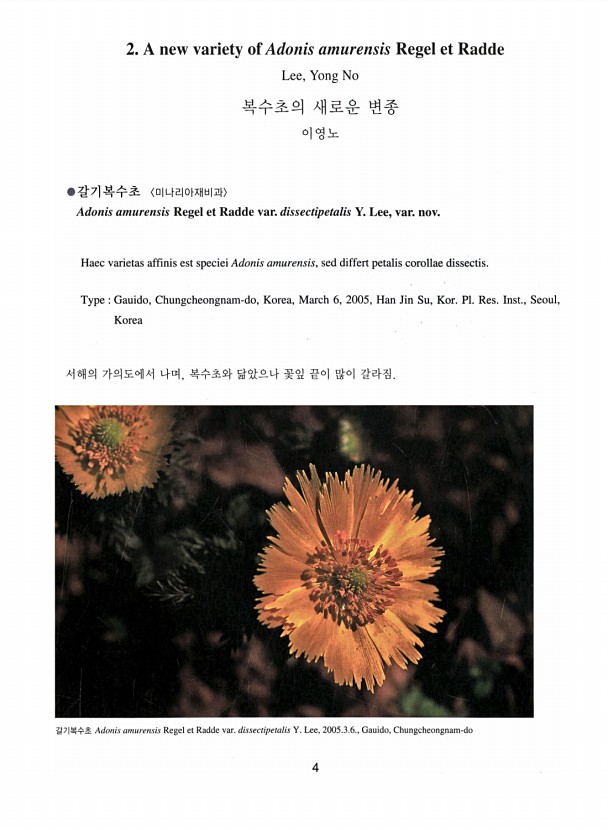 4페이지