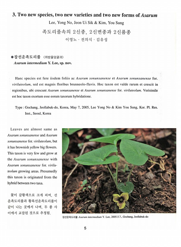 5페이지