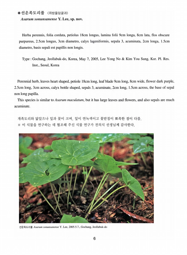 6페이지