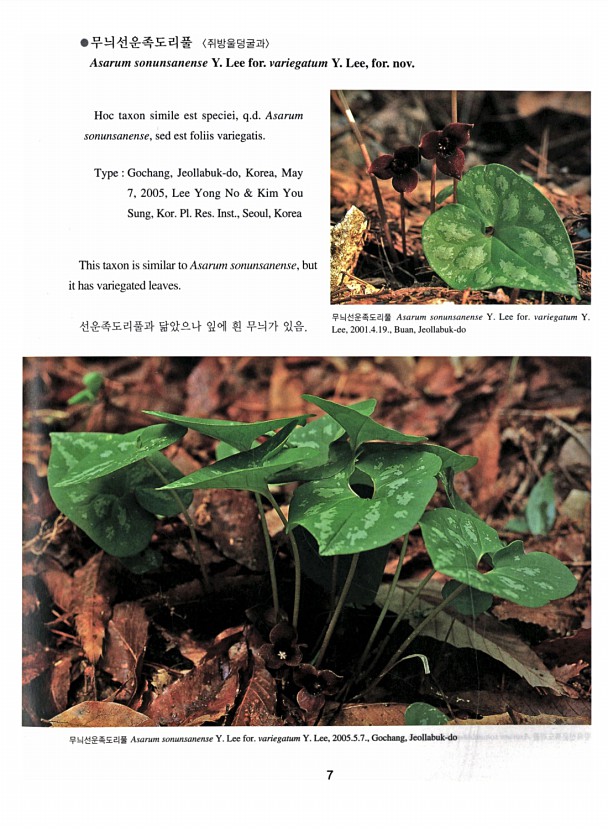 7페이지