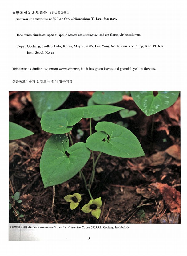 8페이지