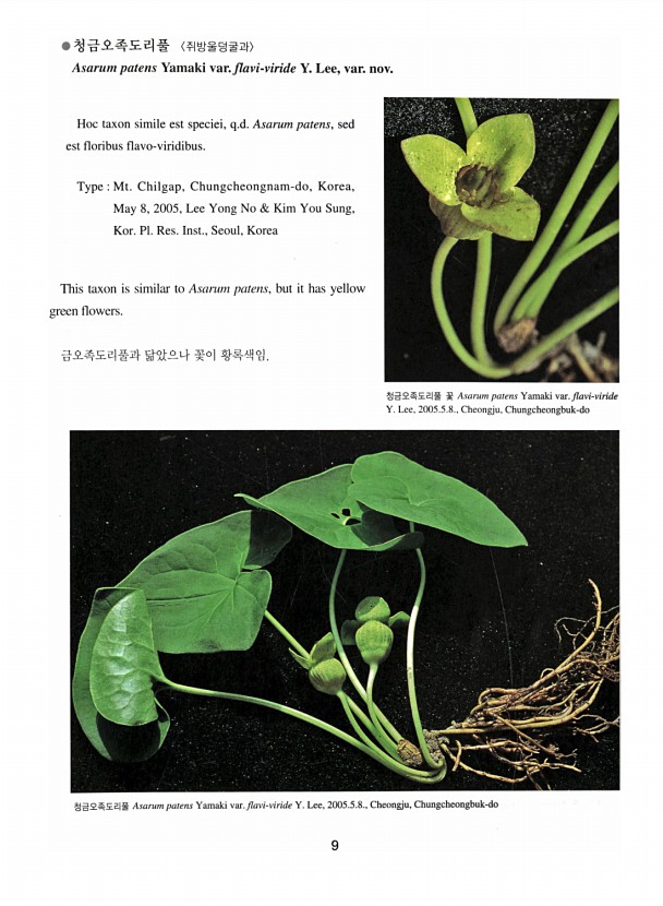 9페이지