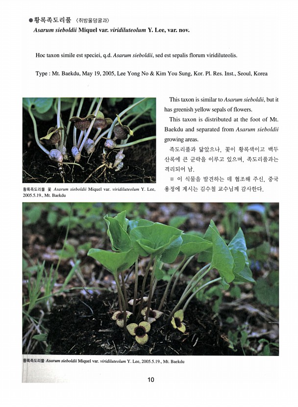 10페이지