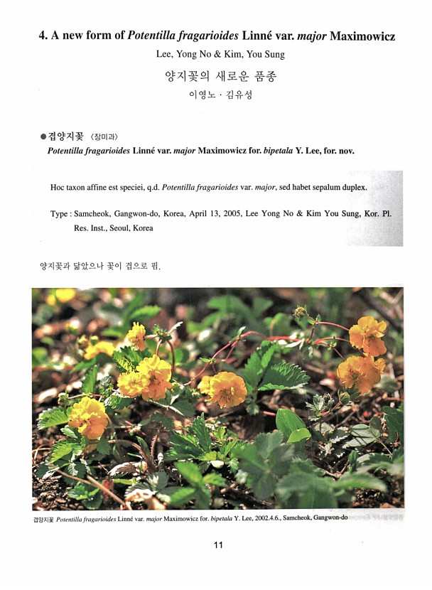 11페이지