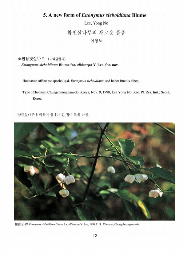 12페이지