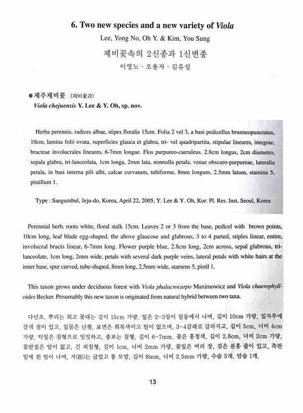 13페이지