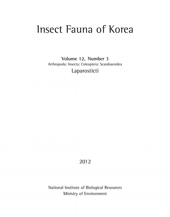 페이지