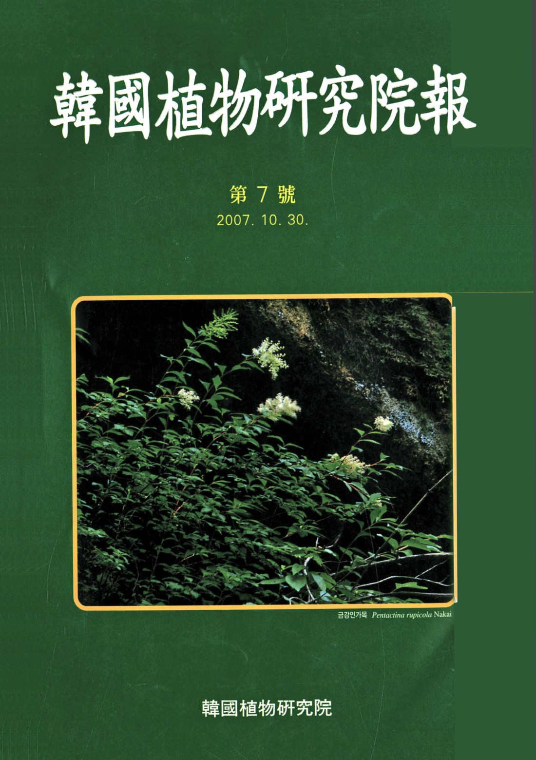 페이지