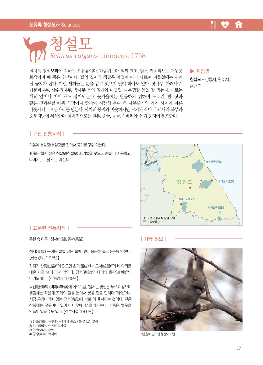 페이지