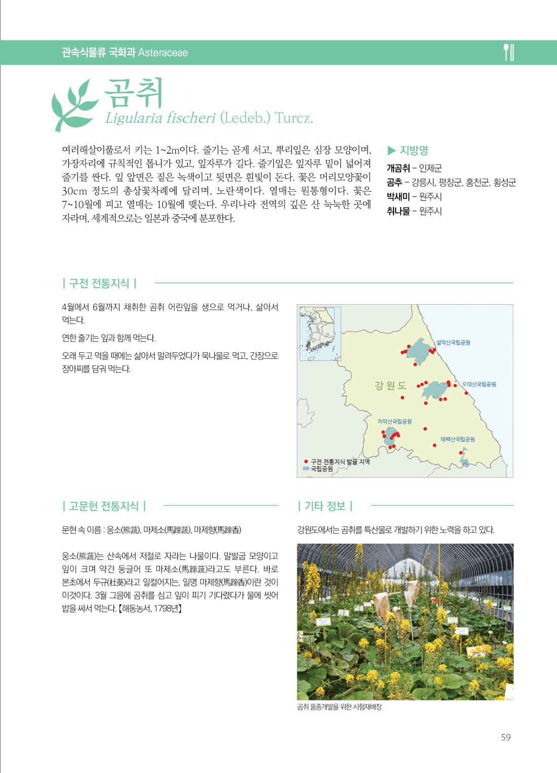 페이지