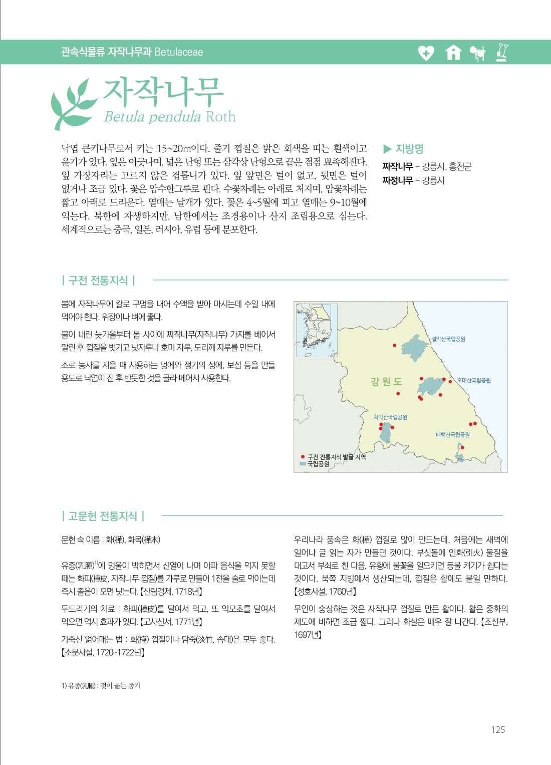 페이지