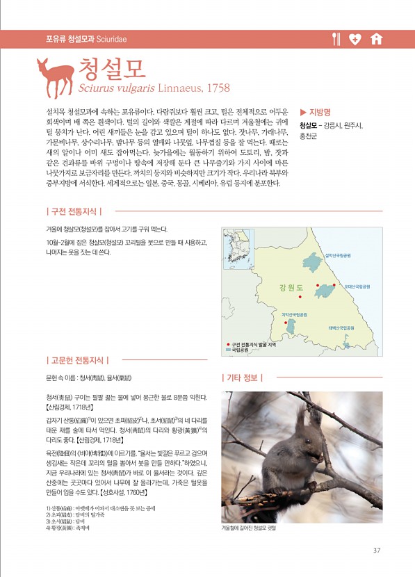 37페이지