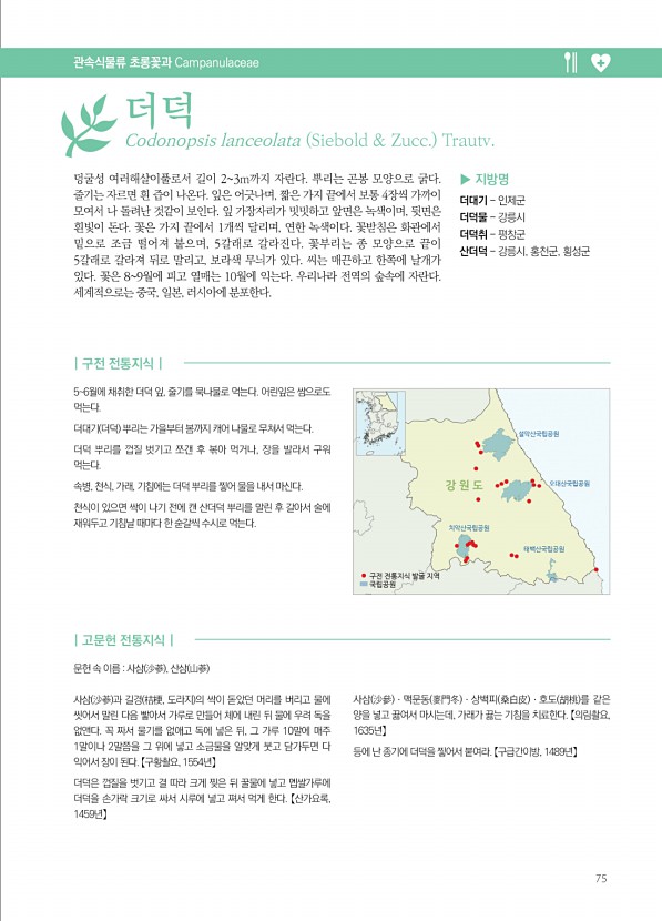 75페이지