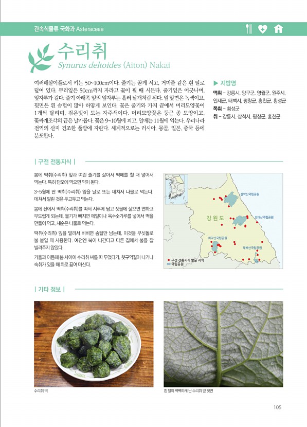 105페이지