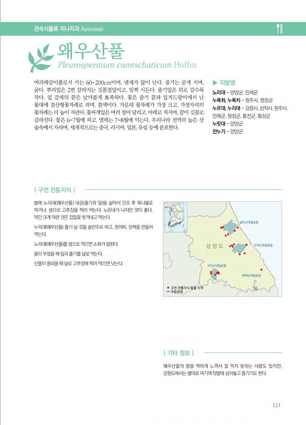 121페이지