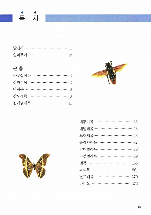 페이지