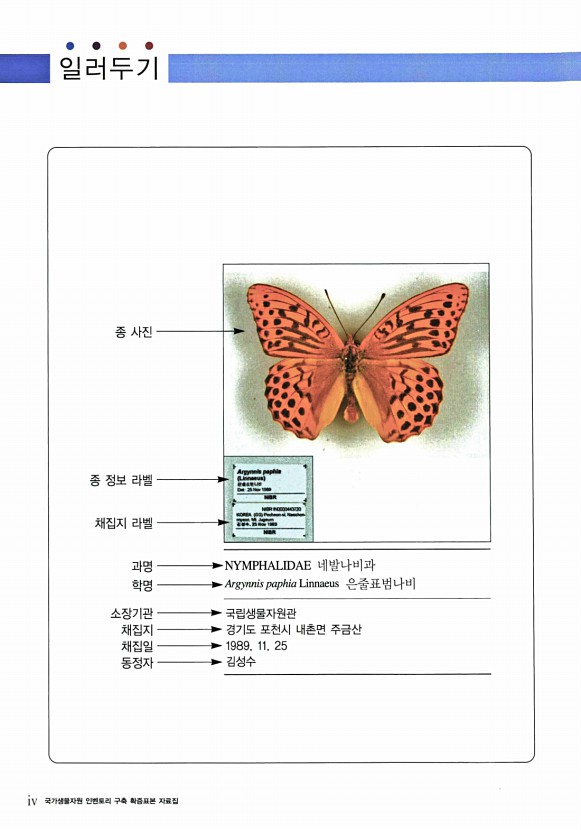 페이지