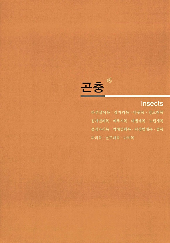 1페이지