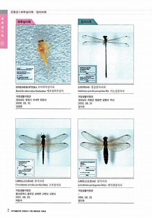 2페이지