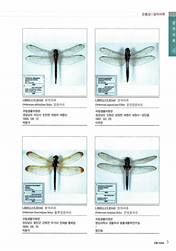 3페이지