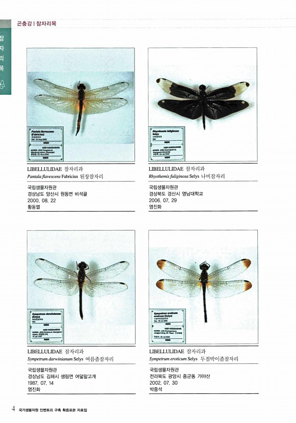 4페이지