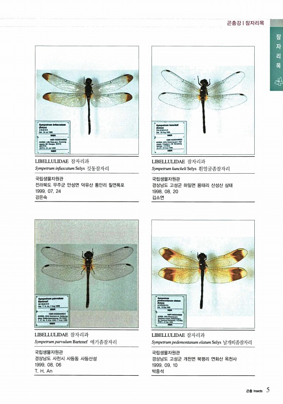 5페이지