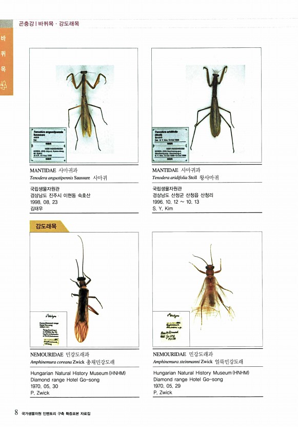 8페이지